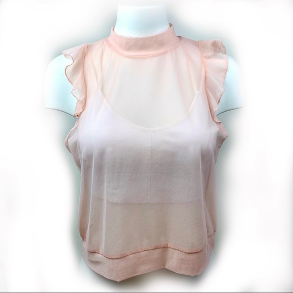 LAVENDER FIELD Sweet Sheer Blush Pink Ruffle Top M - Picture 3 of 7